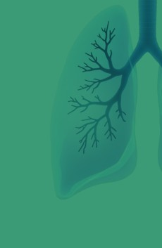 Tuberculosis Products